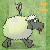 Sheep dash